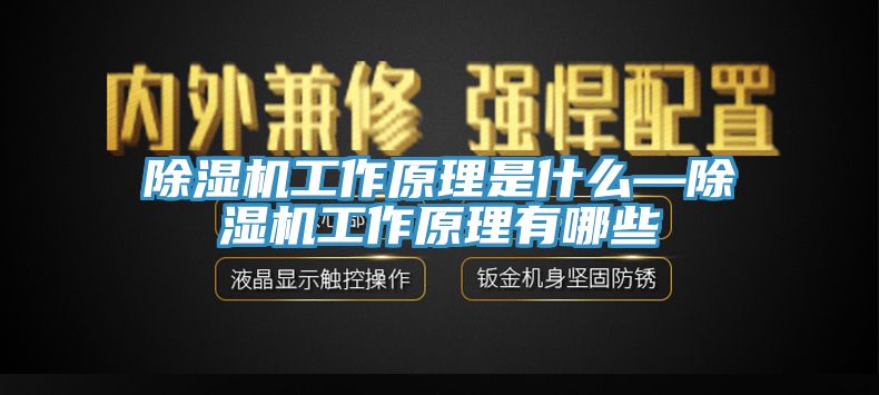除湿机工作原理是什么—除湿机工作原理有哪些