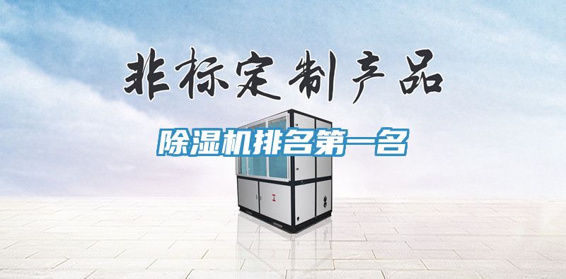 除湿机排名第一名