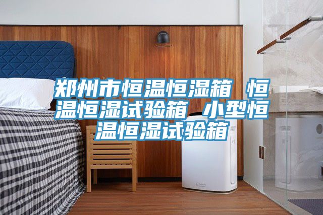 郑州市恒温恒湿箱 恒温恒湿试验箱 小型恒温恒湿试验箱