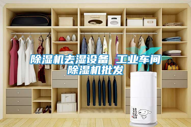 除湿机去湿设备 工业车间除湿机批发