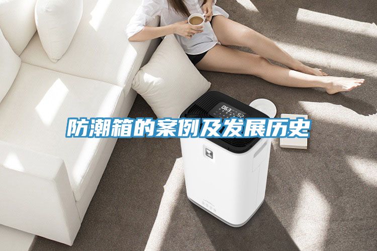 防潮箱的案例及发展历史
