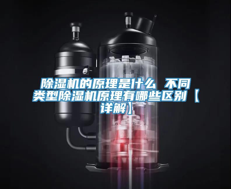 除湿机的原理是什么 不同类型除湿机原理有哪些区别【详解】