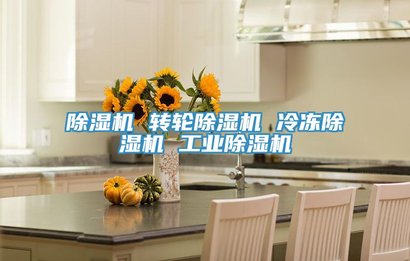 除湿机 转轮除湿机 冷冻除湿机 工业除湿机