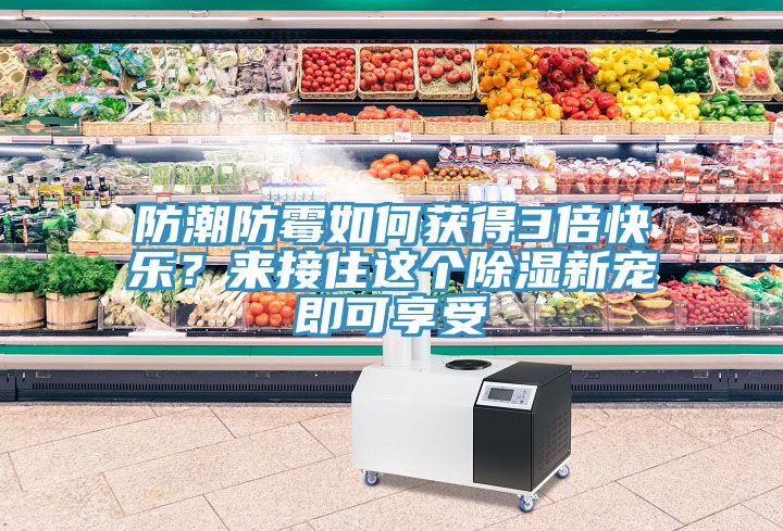 防潮防霉如何获得3倍快乐？来接住这个除湿新宠即可享受