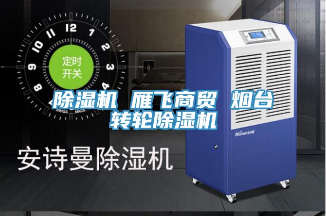 除湿机 雁飞商贸 烟台转轮除湿机