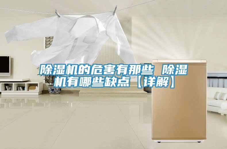 除湿机的危害有那些 除湿机有哪些缺点【详解】