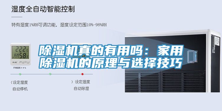除湿机真的有用吗：家用除湿机的原理与选择技巧