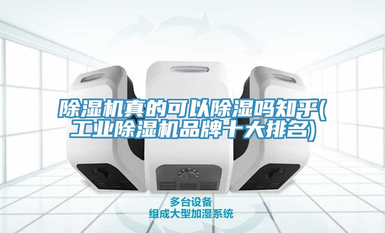 除湿机真的可以除湿吗知乎(工业除湿机品牌十大排名)