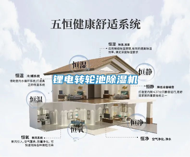 锂电转轮池除湿机