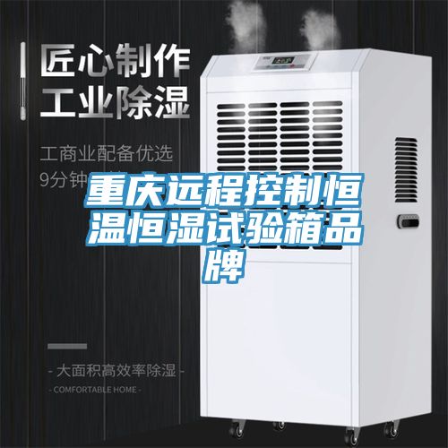 重庆远程控制恒温恒湿试验箱品牌