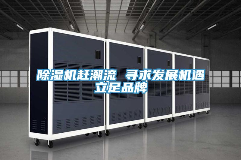 除湿机赶潮流 寻求发展机遇立足品牌