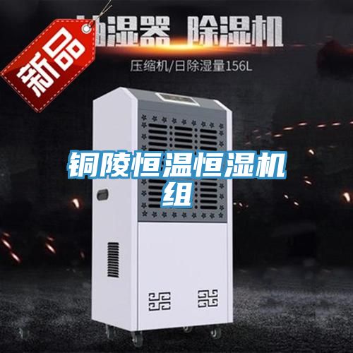 铜陵恒温恒湿机组