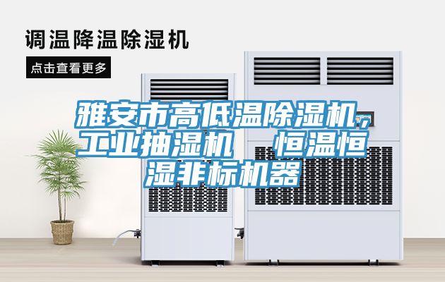 雅安市高低温除湿机，工业抽湿机  恒温恒湿非标机器