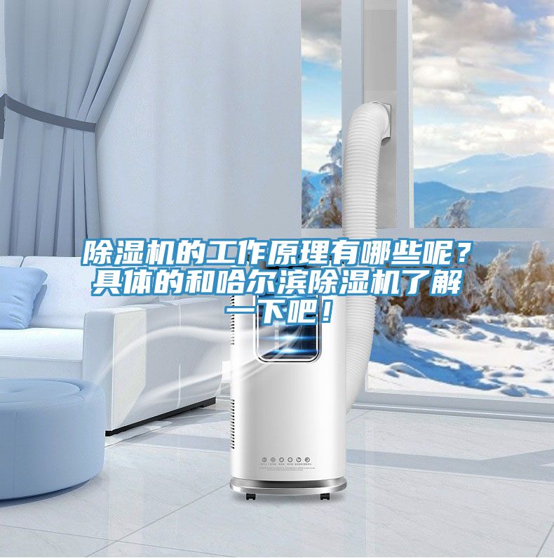 除湿机的工作原理有哪些呢？具体的和哈尔滨除湿机了解一下吧！