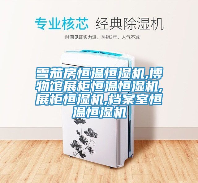 雪茄房恒温恒湿机,博物馆展柜恒温恒湿机,展柜恒湿机,档案室恒温恒湿机