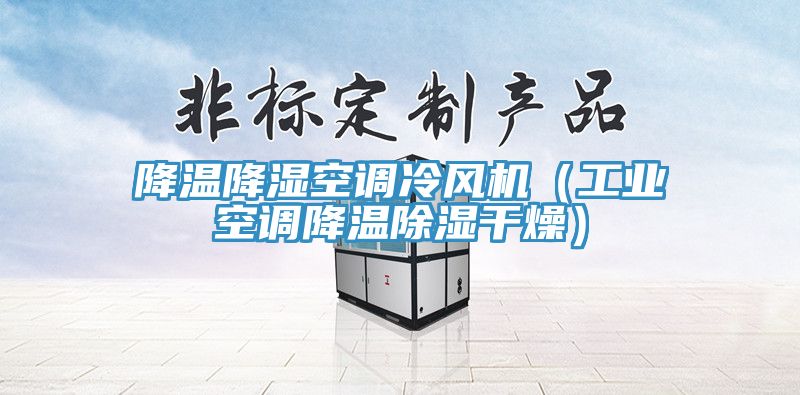 降温降湿空调冷风机（工业空调降温除湿干燥）