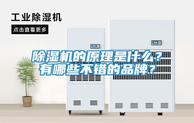 除湿机的原理是什么？有哪些不错的品牌？