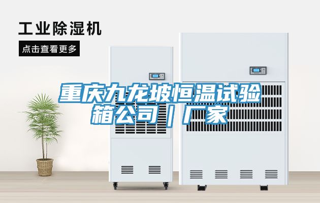 重庆九龙坡恒温试验箱公司｜厂家