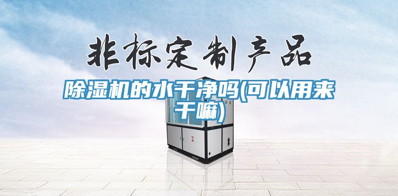 除湿机的水干净吗(可以用来干嘛)