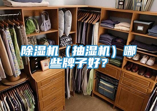 除湿机（抽湿机）哪些牌子好？