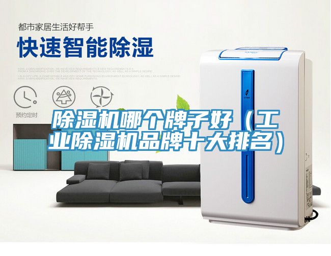 除湿机哪个牌子好（工业除湿机品牌十大排名）