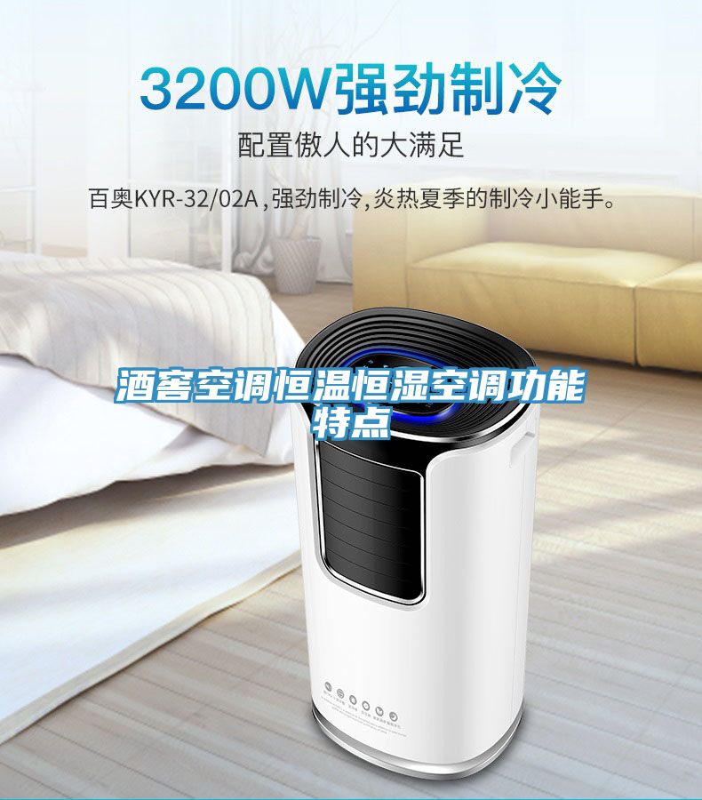 酒窖空调恒温恒湿空调功能特点