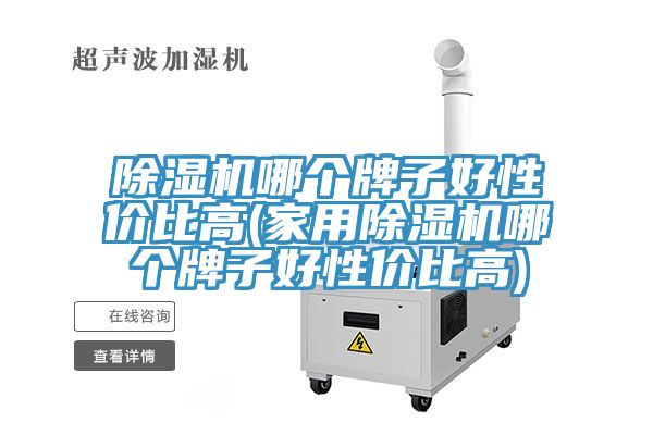除湿机哪个牌子好性价比高(家用除湿机哪个牌子好性价比高)
