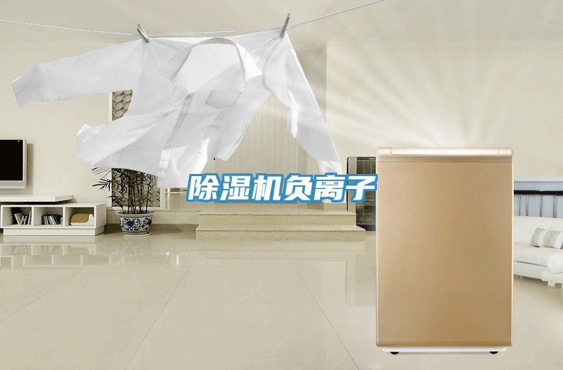 除湿机负离子