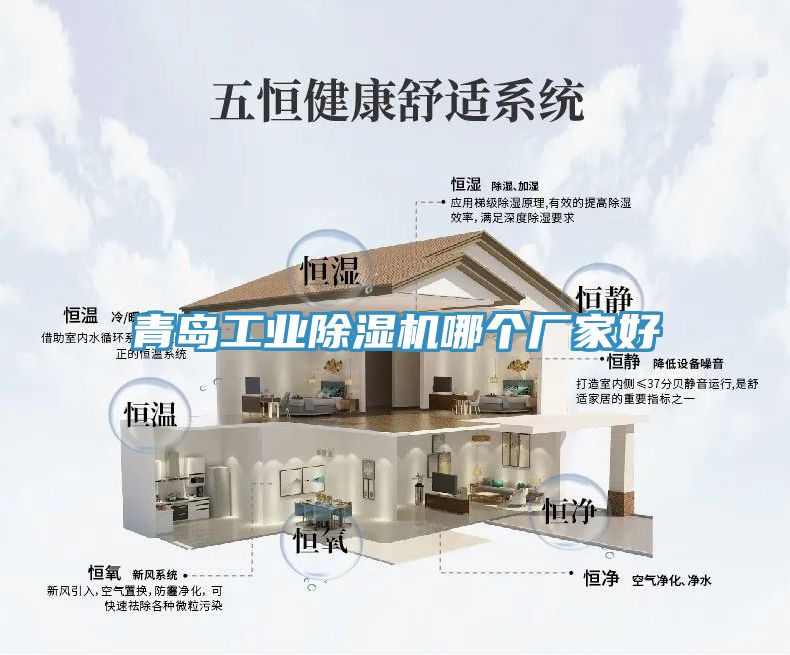 青岛工业除湿机哪个厂家好
