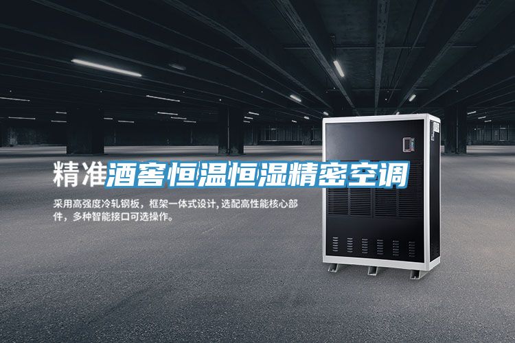 酒窖恒温恒湿精密空调