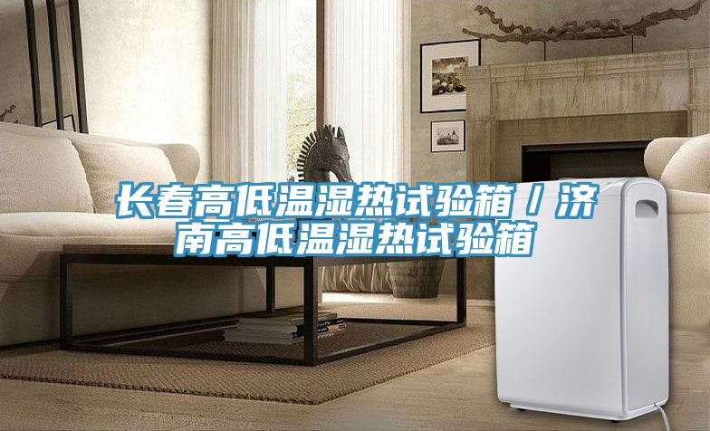 长春高低温湿热试验箱／济南高低温湿热试验箱