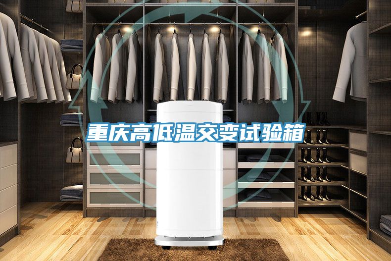 重庆高低温交变试验箱