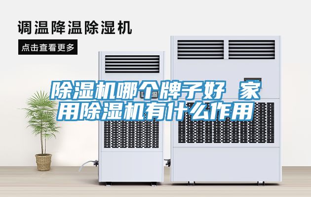 除湿机哪个牌子好 家用除湿机有什么作用