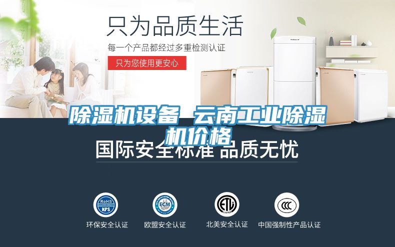 除湿机设备 云南工业除湿机价格