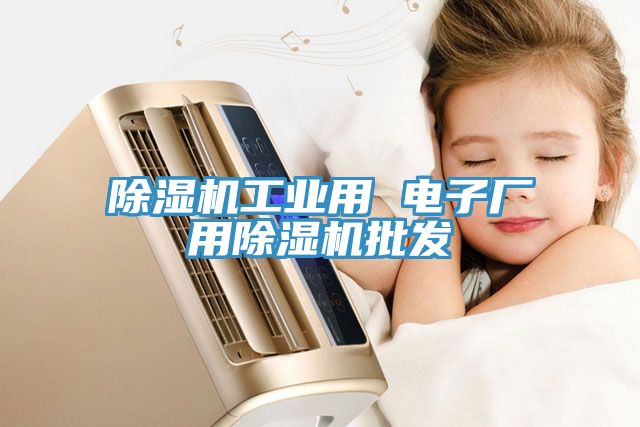 除湿机工业用 电子厂用除湿机批发