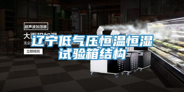 辽宁低气压恒温恒湿试验箱结构