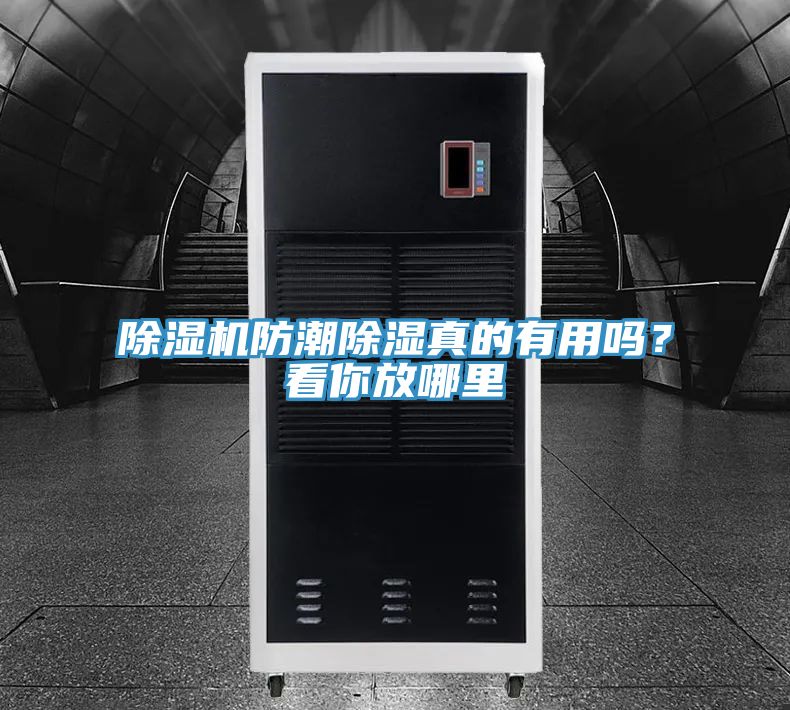 除湿机防潮除湿真的有用吗？看你放哪里