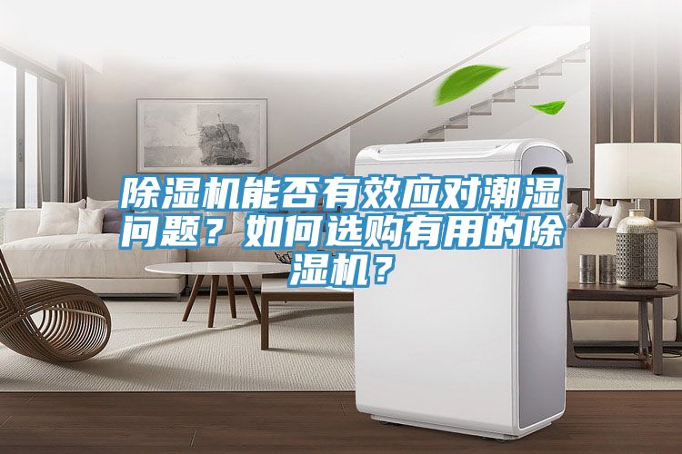 除湿机能否有效应对潮湿问题？如何选购有用的除湿机？