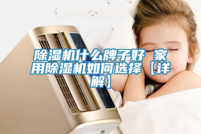 除湿机什么牌子好 家用除湿机如何选择【详解】