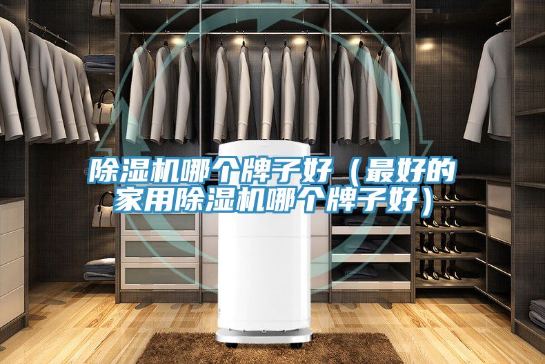 除湿机哪个牌子好（最好的家用除湿机哪个牌子好）