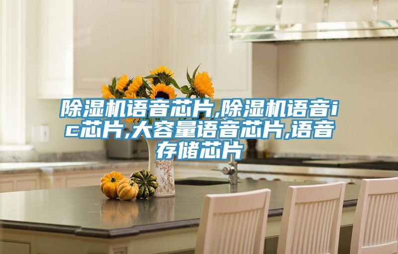 除湿机语音芯片,除湿机语音ic芯片,大容量语音芯片,语音存储芯片