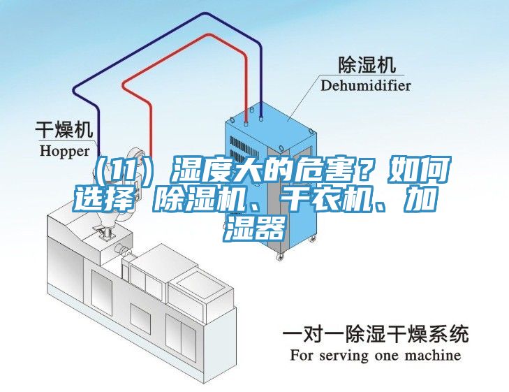 （11）湿度大的危害？如何选择 除湿机、干衣机、加湿器