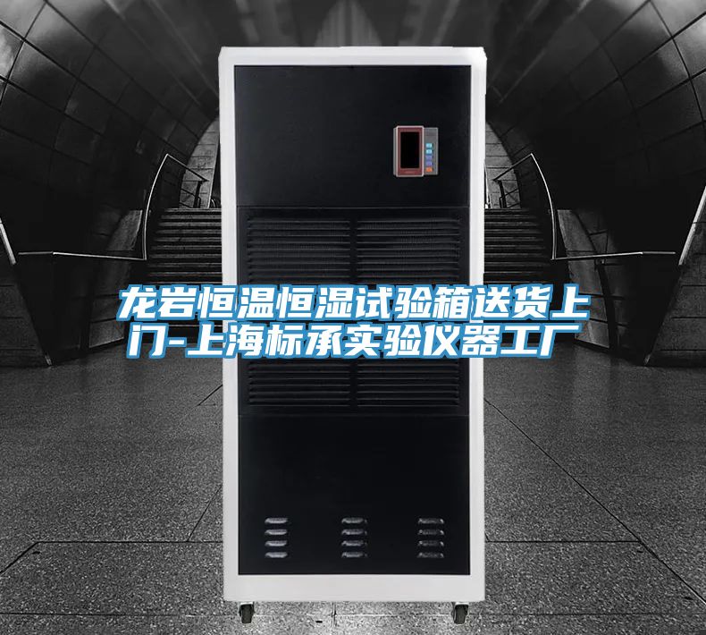 龙岩恒温恒湿试验箱送货上门-上海标承实验仪器工厂