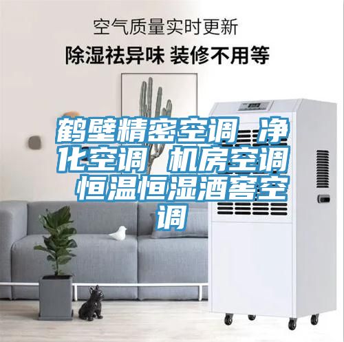 鹤壁精密空调 净化空调 机房空调 恒温恒湿酒窖空调