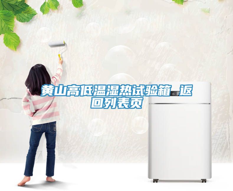 黄山高低温湿热试验箱 返回列表页