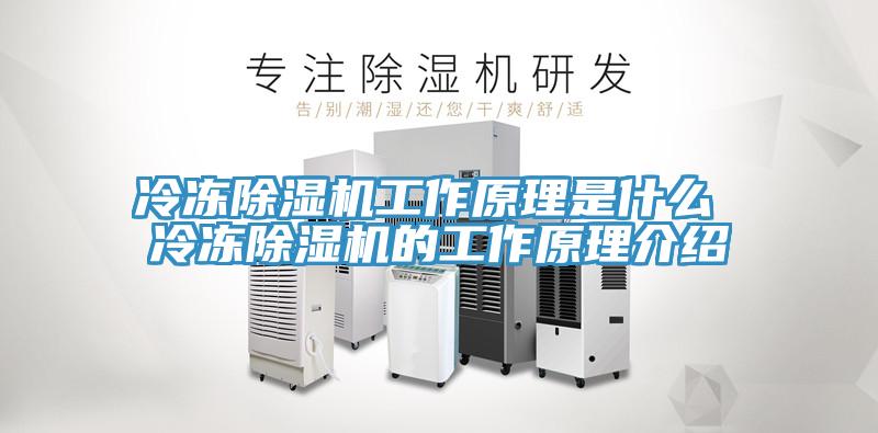冷冻除湿机工作原理是什么 冷冻除湿机的工作原理介绍