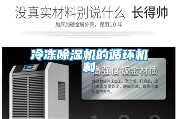 冷冻除湿机的循环机制