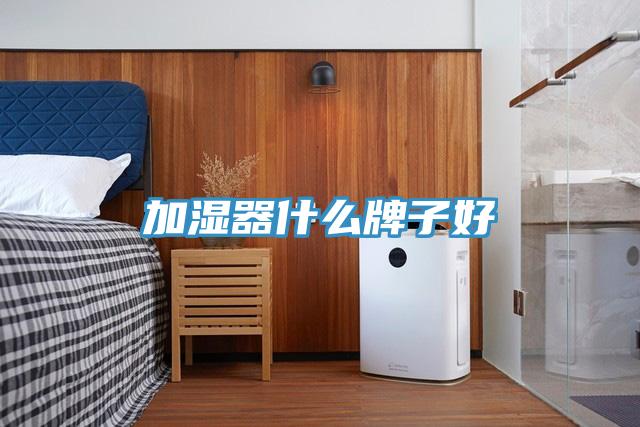 加湿器什么牌子好