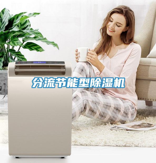 分流节能型除湿机