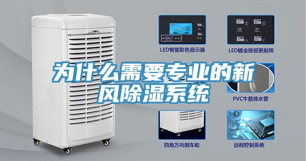 为什么需要专业的新风除湿系统